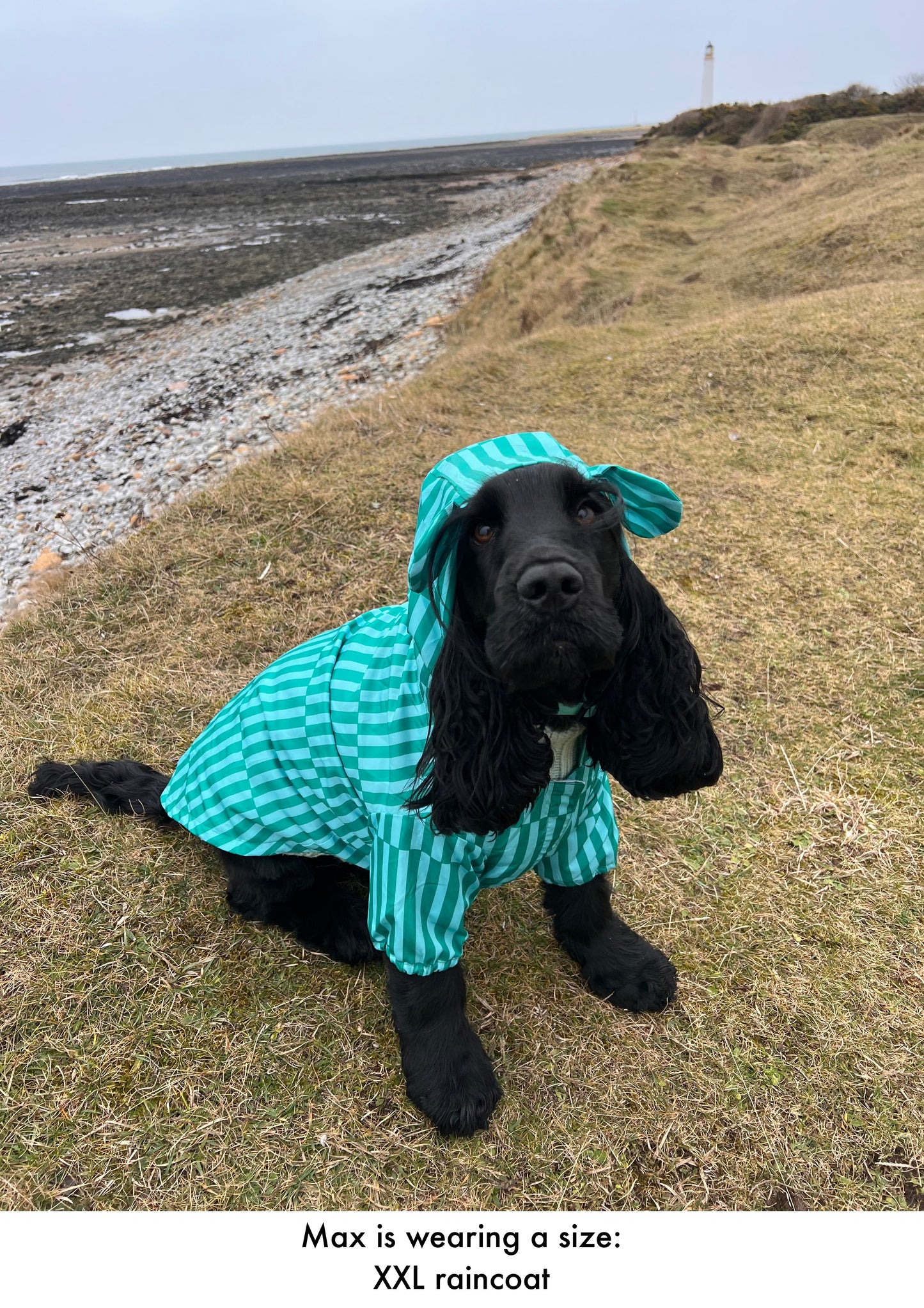 Coastal Calm - Lightweight Teddy Raincoat - PLEASE CHECK MEASUREMENTS