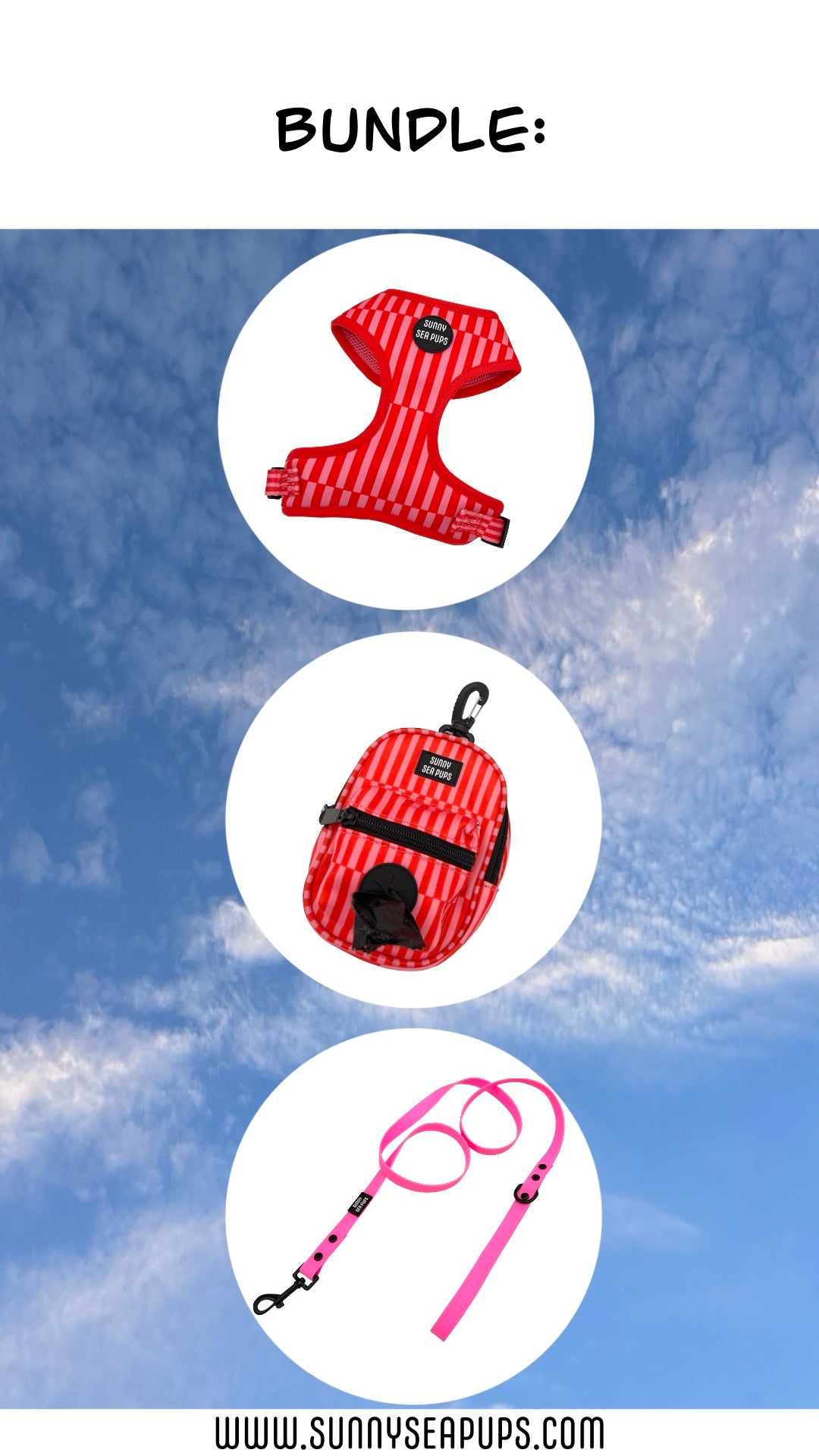 Blush Bay - Bundle 5: Harness, Tums & Bums Pouch, Waterproof Lead