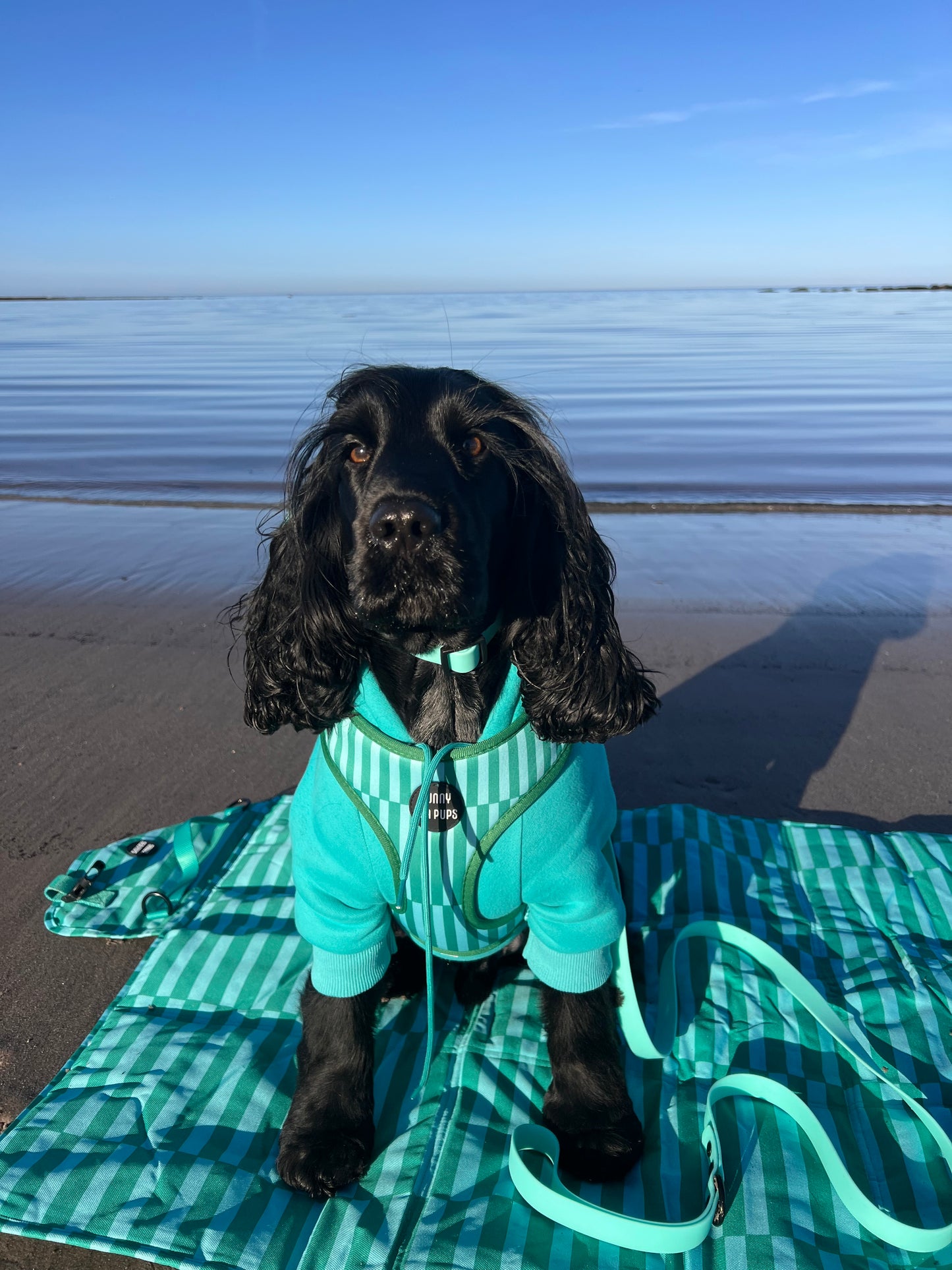 Coastal Calm - Travel Mat