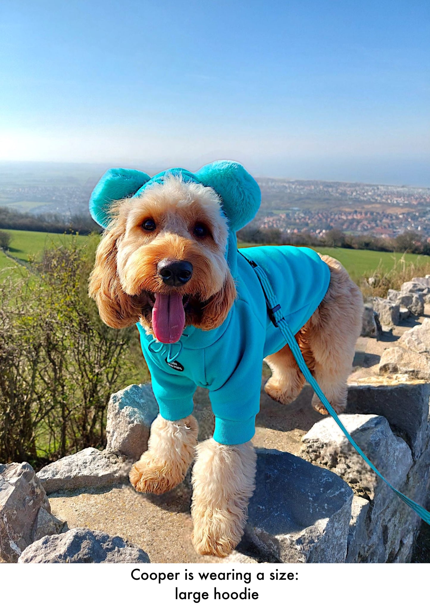 Turquoise - Teddy Bear Hoodie