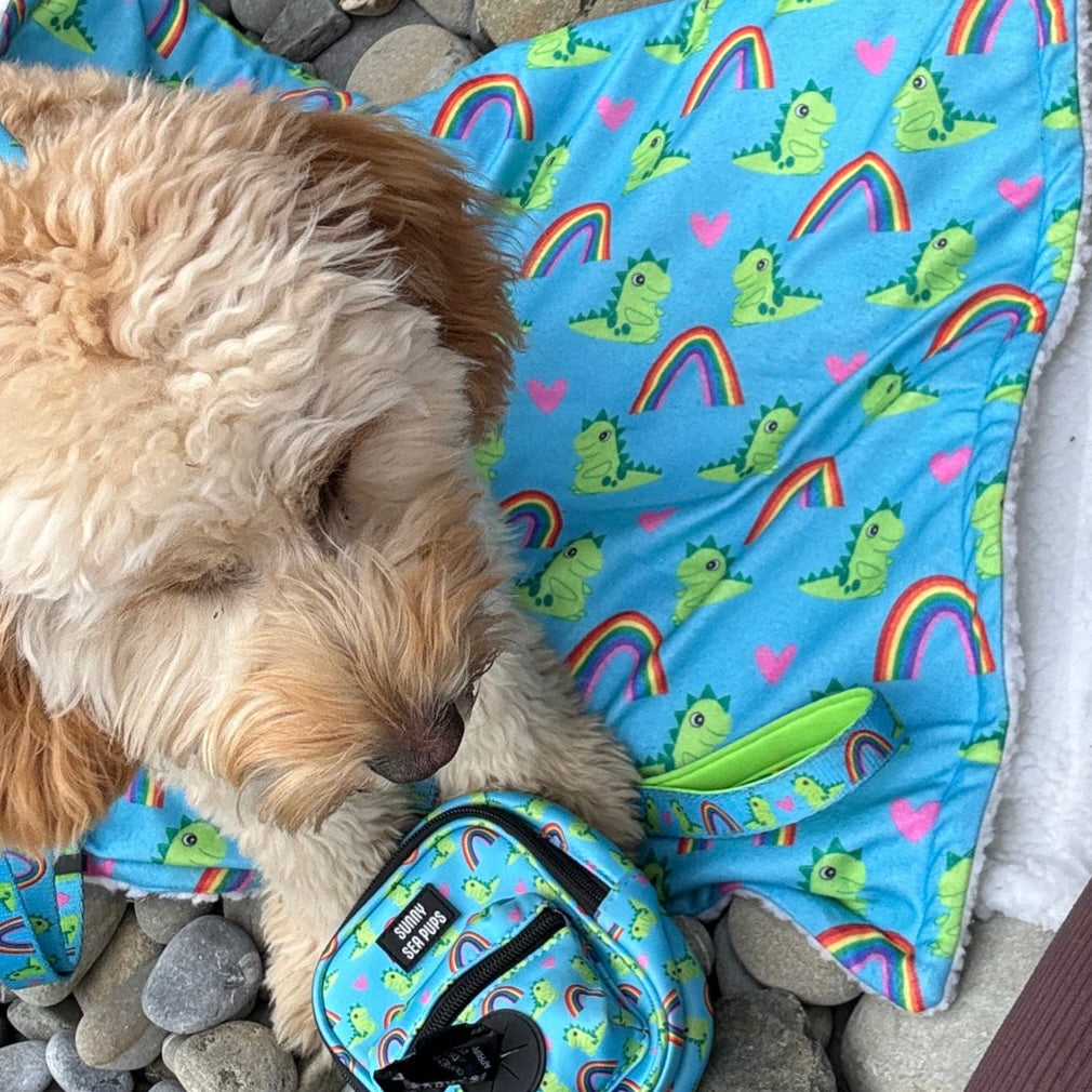 Lil Sea-Saurus - Blanket - Buy 1 & we’ll DONATE 2