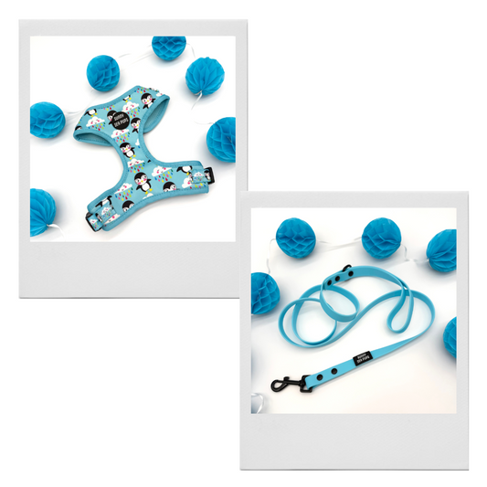 Lil Puddle Penguins - Bundle 6: Harness & Waterproof Lead