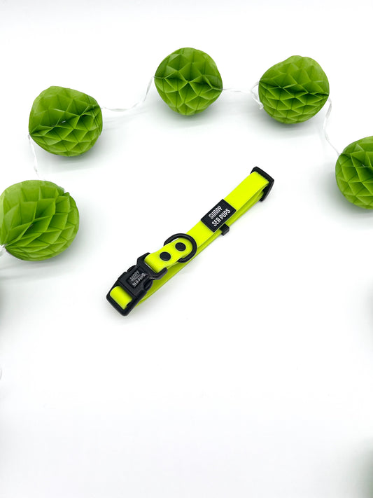 Lime - Waterproof Collar