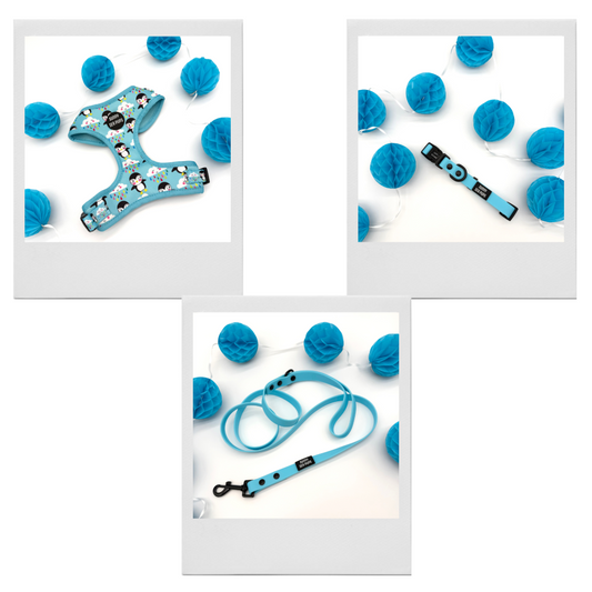 Lil Puddle Penguins - Bundle 4: Harness, Waterproof Collar & Lead