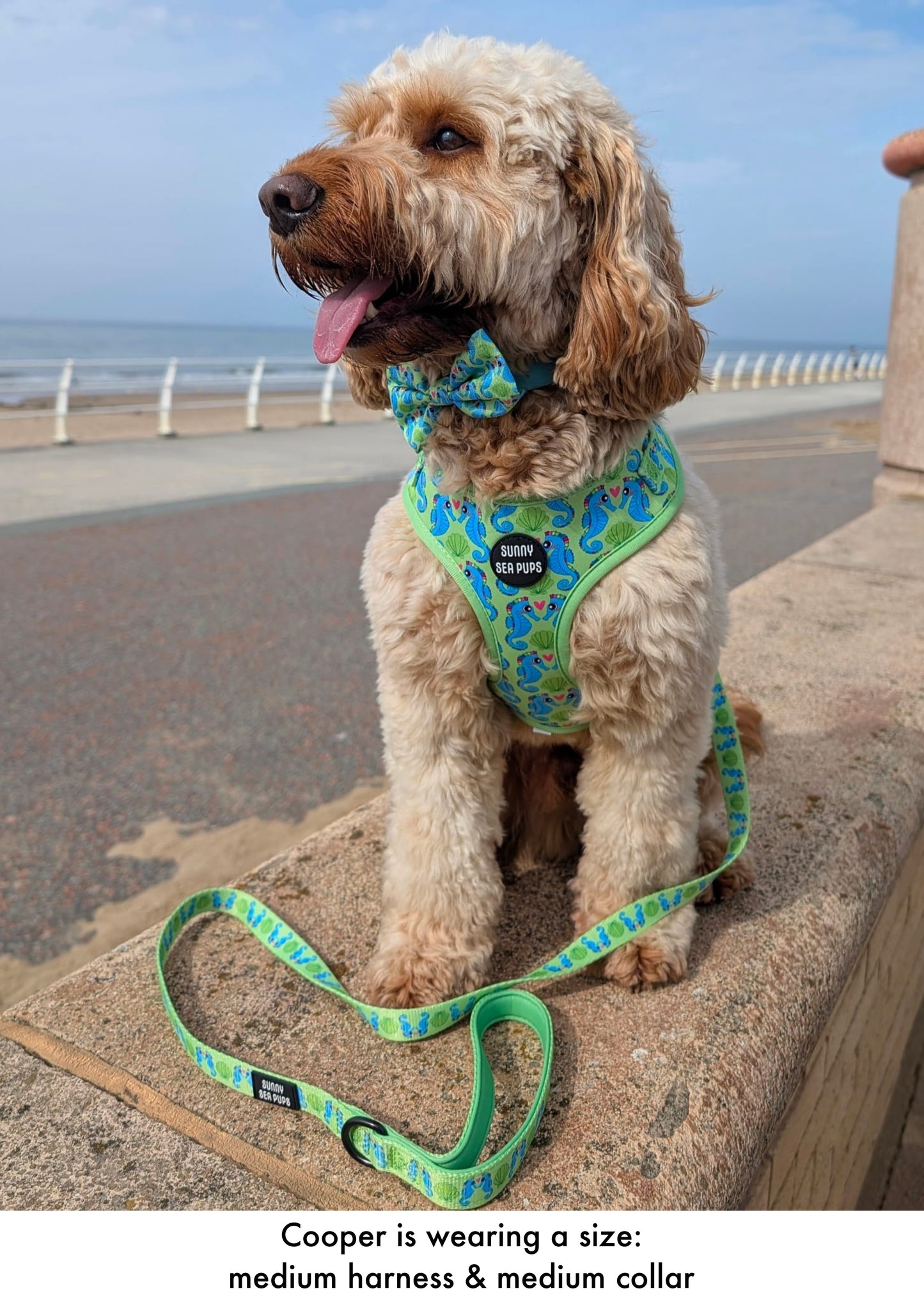 Sea-Pony Club
 - Adjustable Harness
