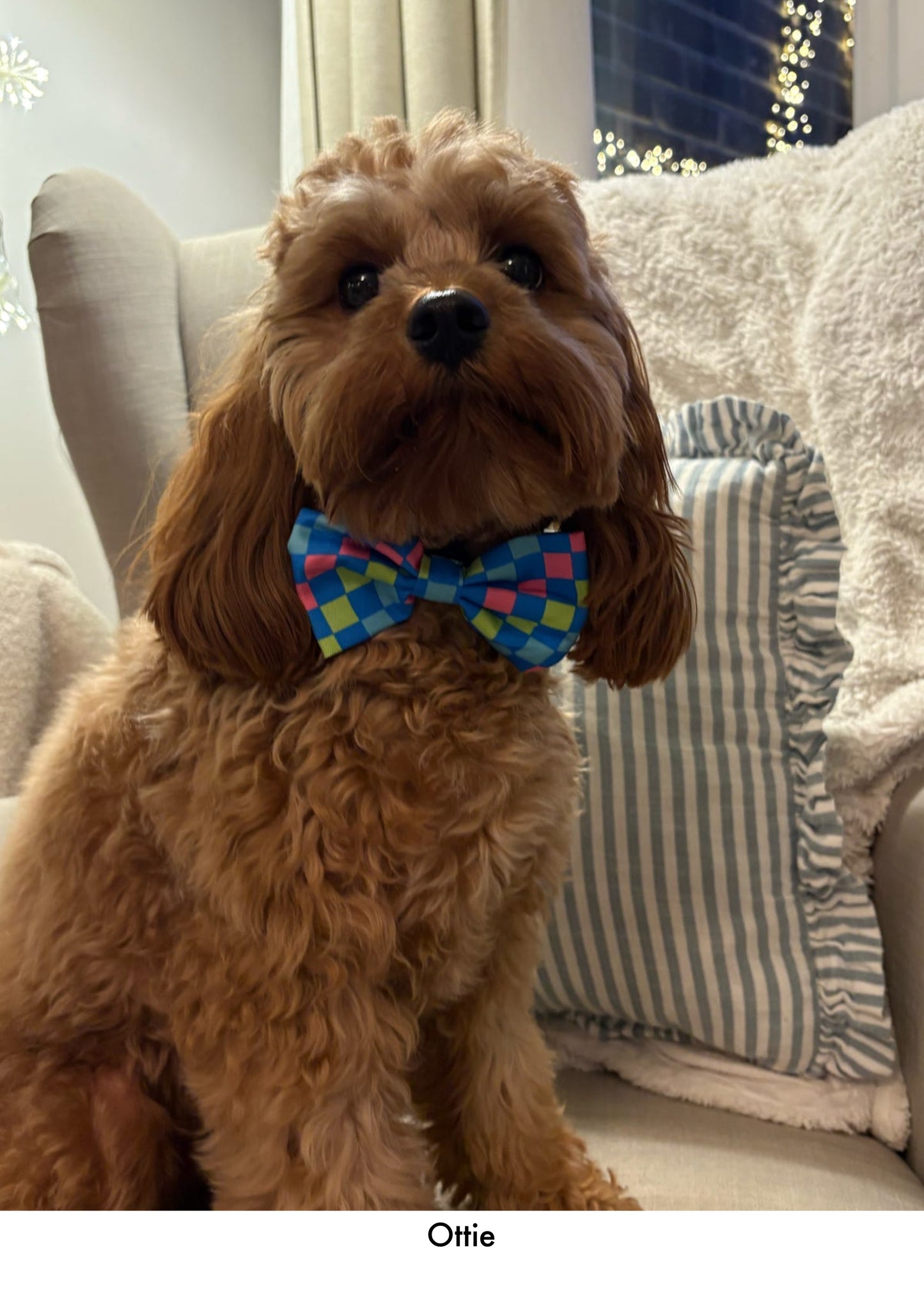 Check the Tides -  Bow Tie