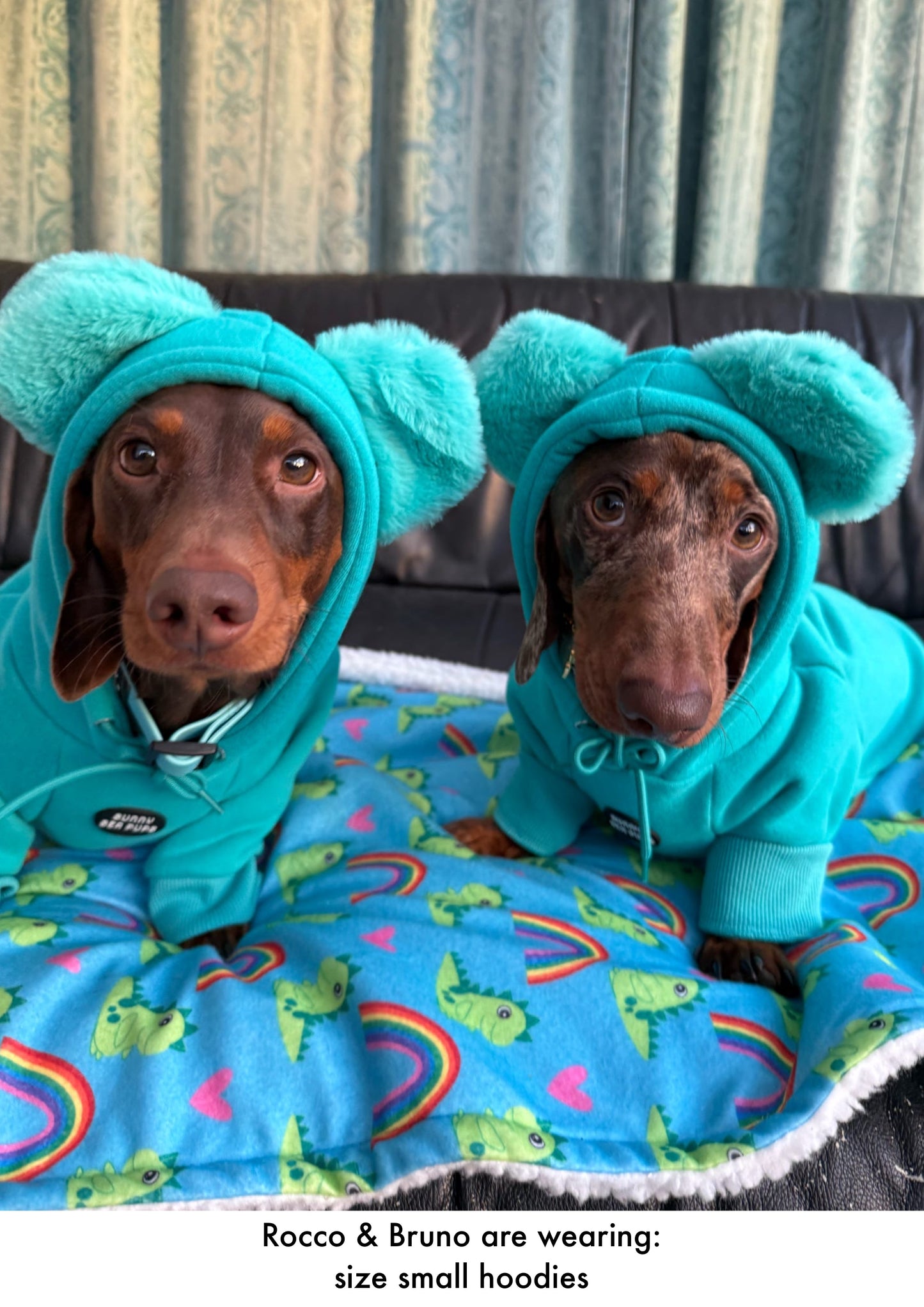 Turquoise - Teddy Bear Hoodie