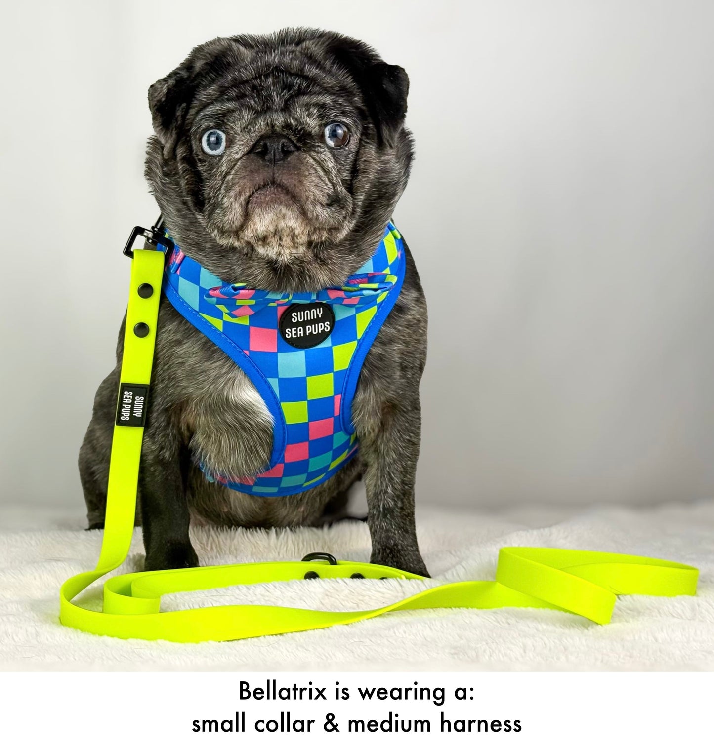 Lime - Waterproof Lead