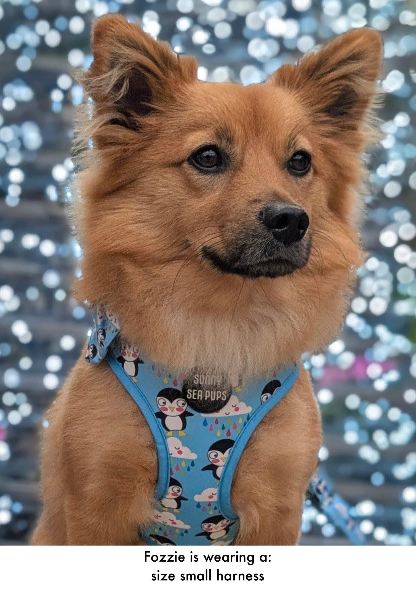 Lil Puddle Penguins - Adjustable Harness