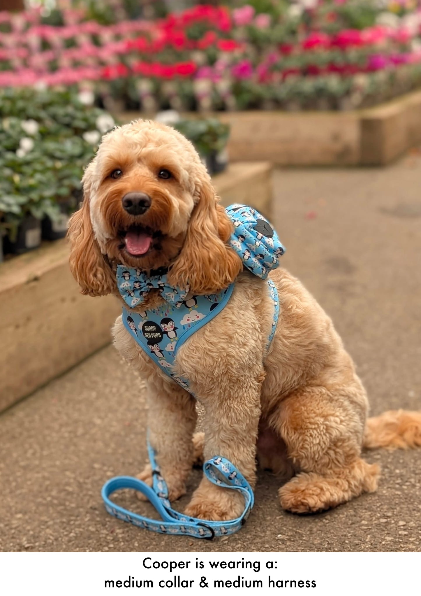 Blue - Waterproof Lead