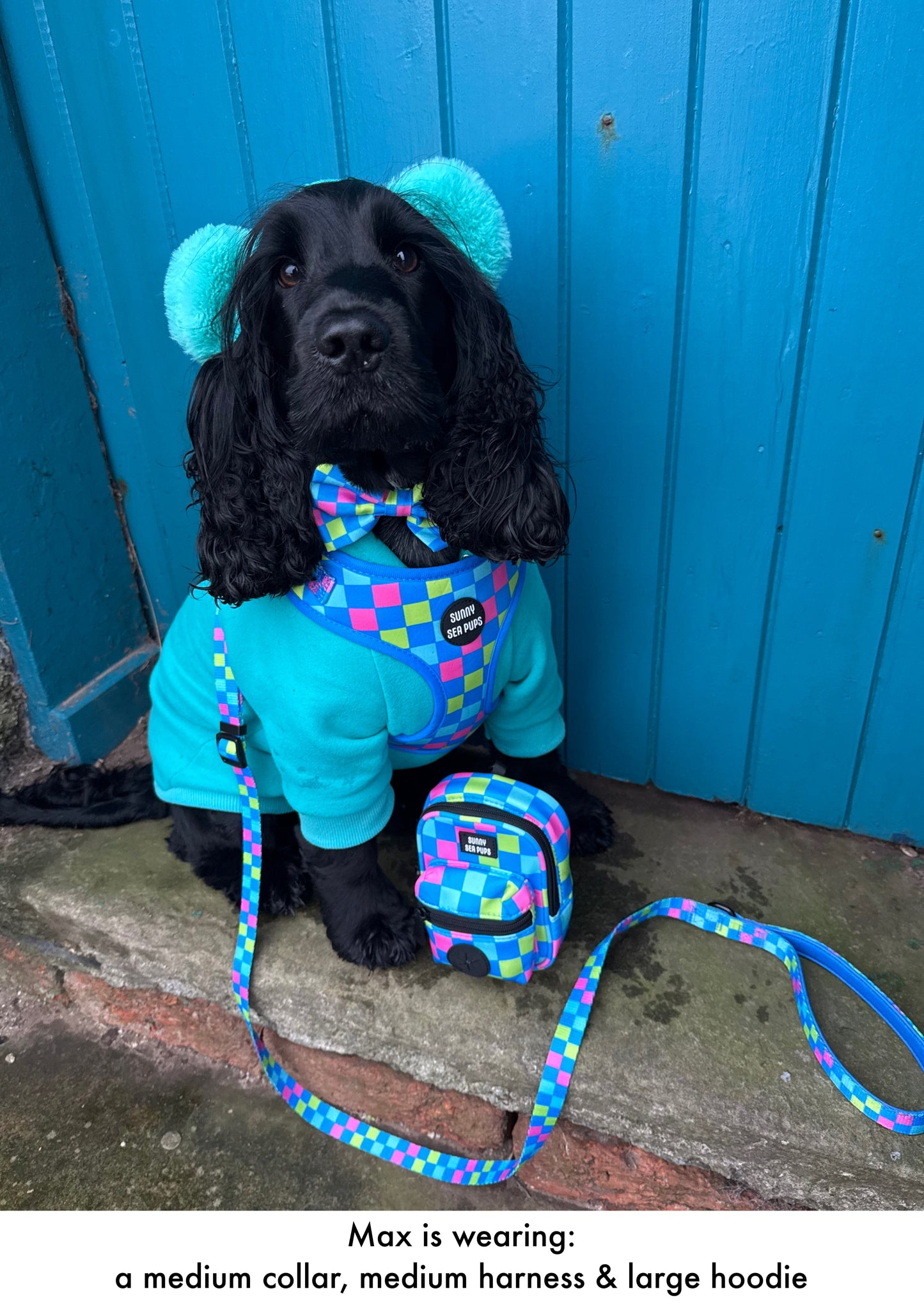 Check the Tides - Adjustable Harness