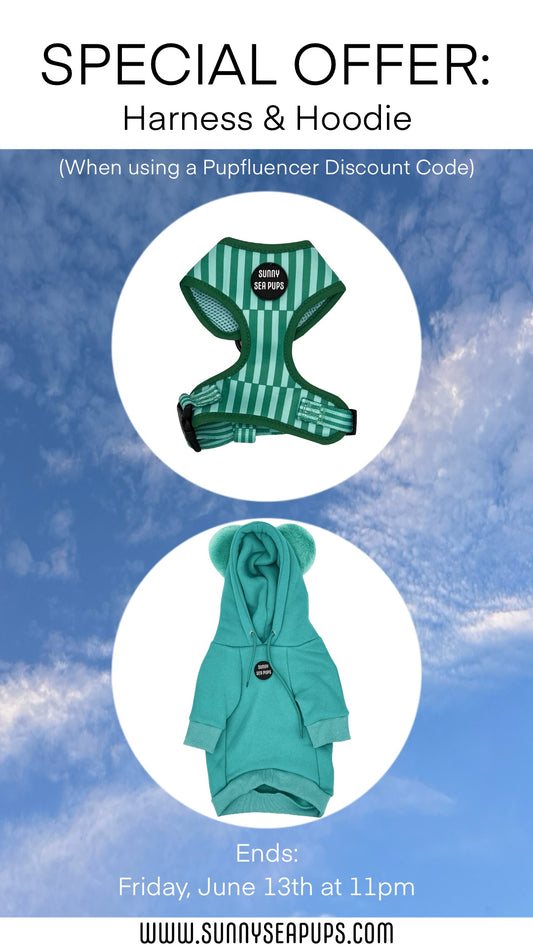 Special Offer: Coastal Calm Harness & Turquoise Hoodie