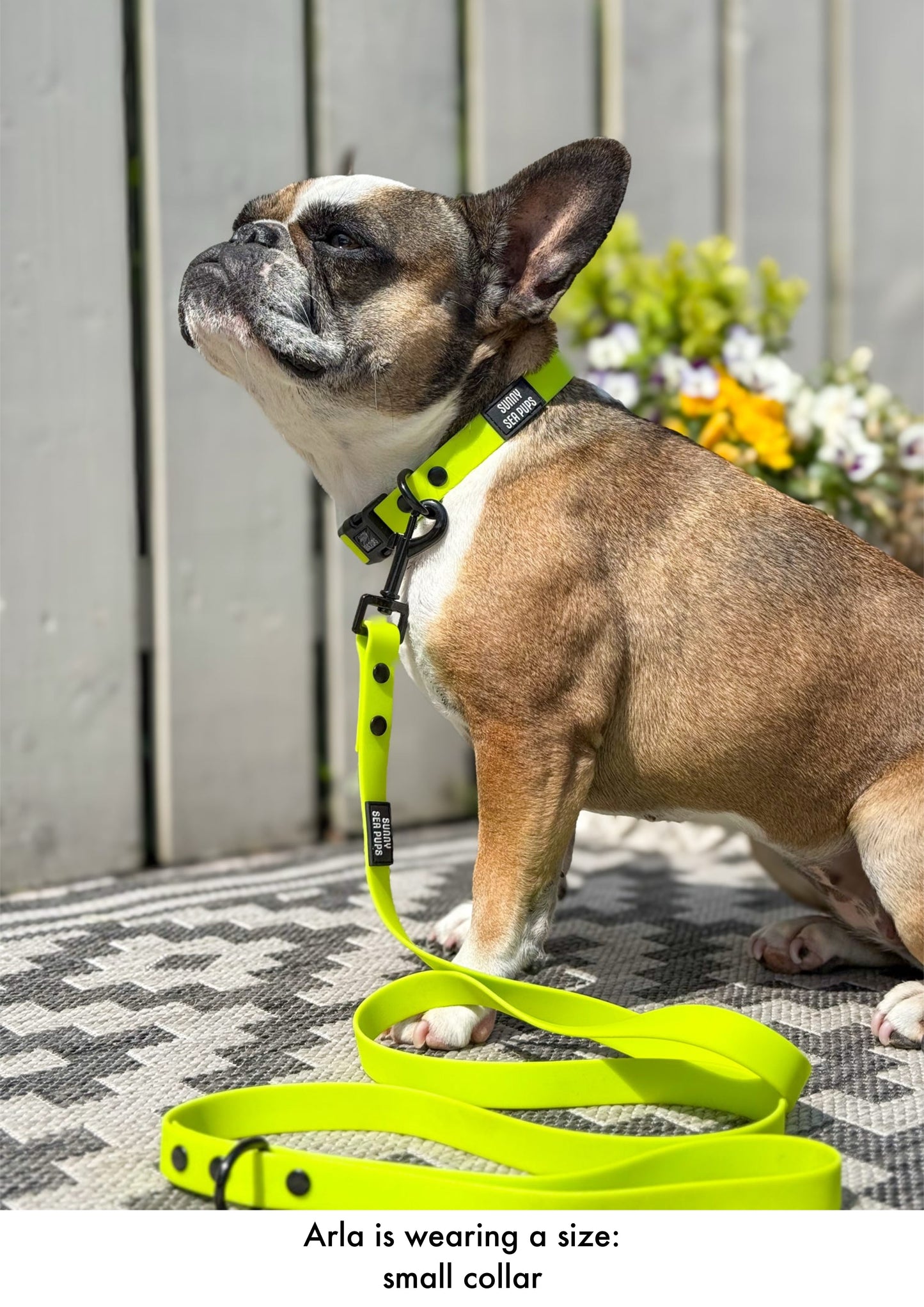 Lime - Waterproof Lead