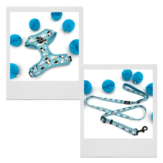 Lil Puddle Penguins - Bundle 12: Harness & Adjustable Lead