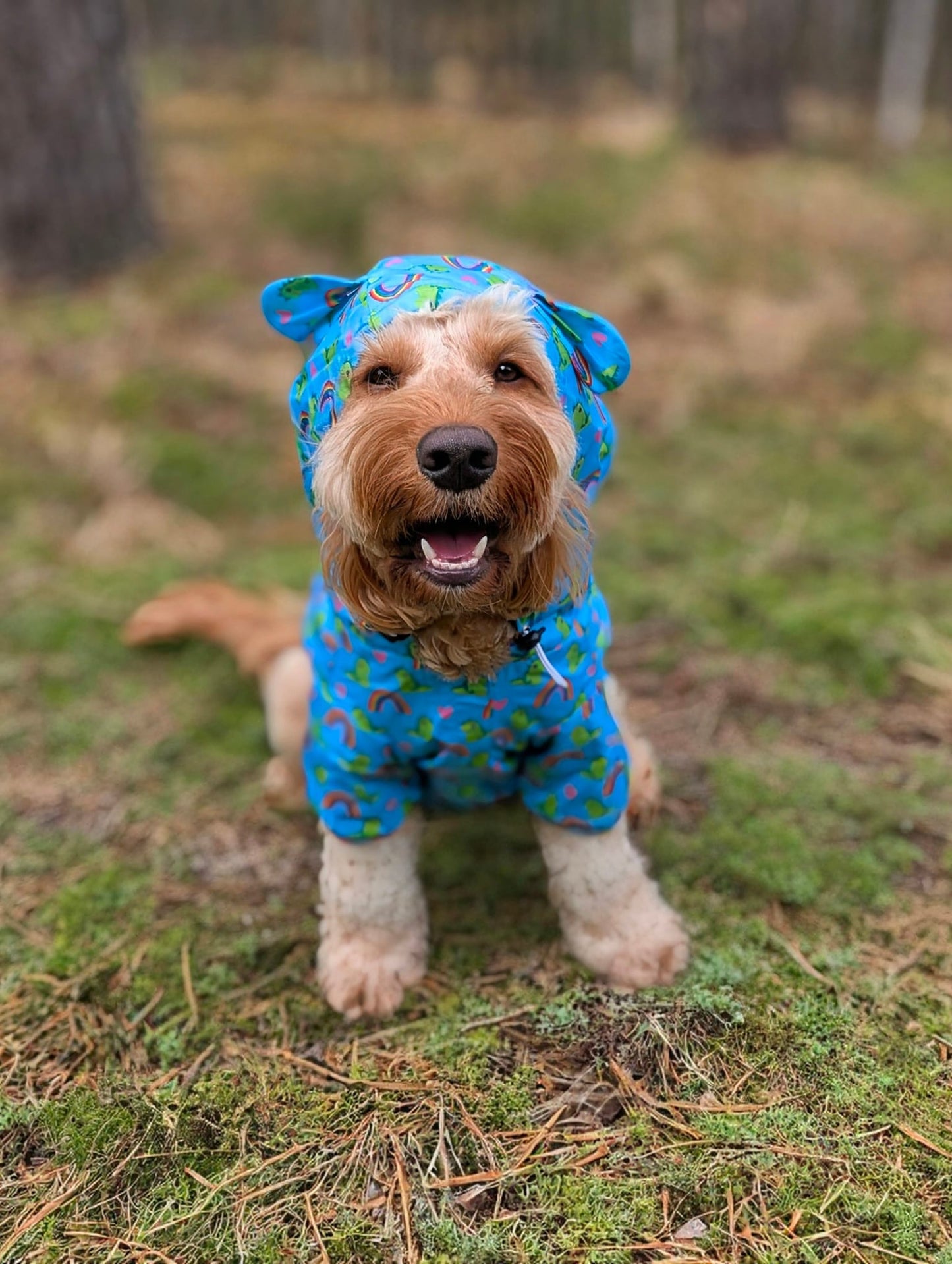Lil Sea-Saurus - Lightweight Teddy Raincoat