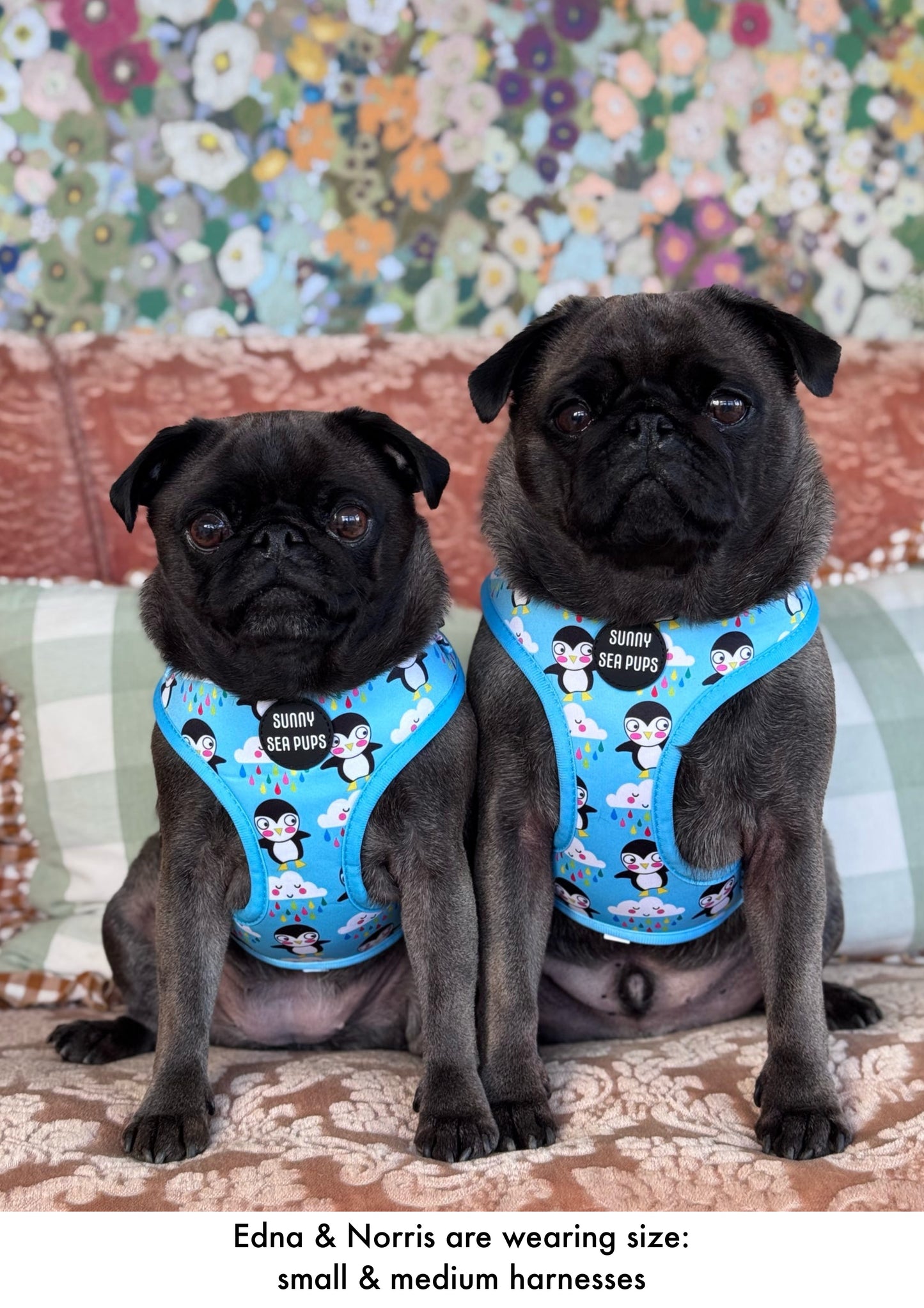 Lil Puddle Penguins - Adjustable Harness