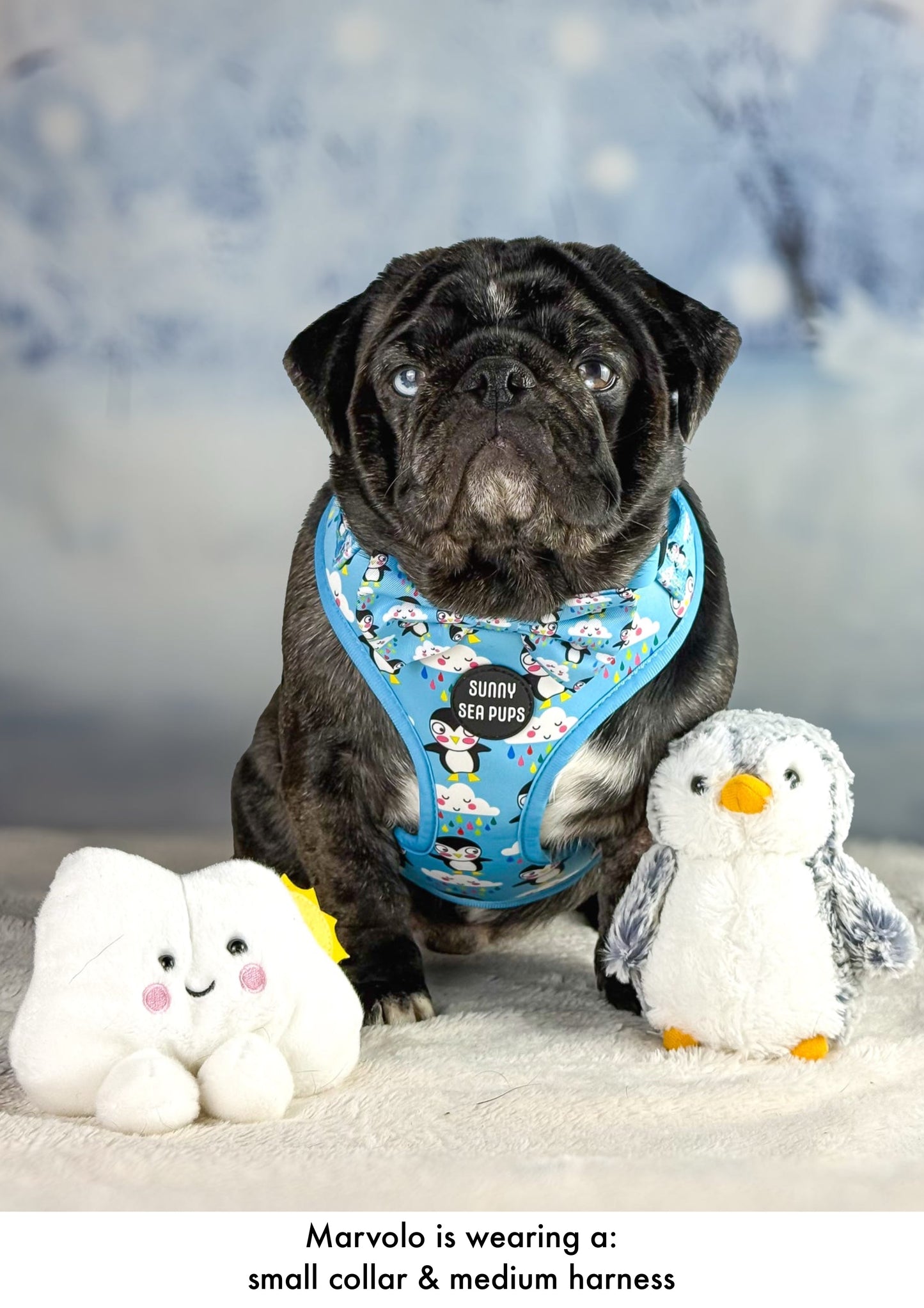 Lil Puddle Penguins - Bow Tie