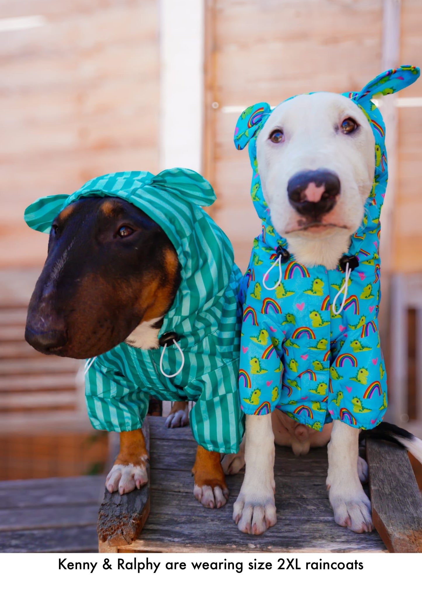 Coastal Calm - Lightweight Teddy Raincoat - PLEASE CHECK MEASUREMENTS