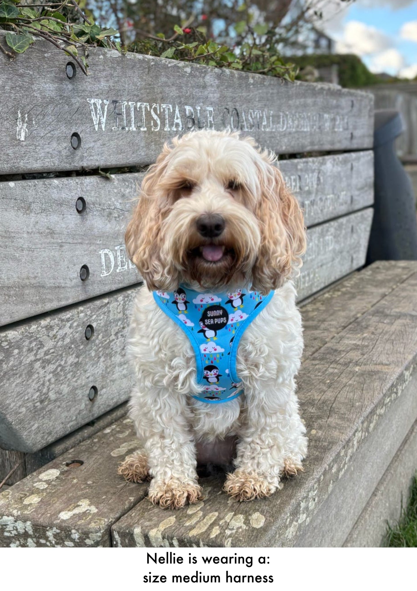 Lil Puddle Penguins - Adjustable Harness