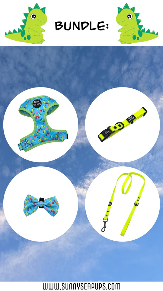 Lil Sea-Saurus - Bundle 3: Harness, Bow Tie, Waterproof Collar & Lead