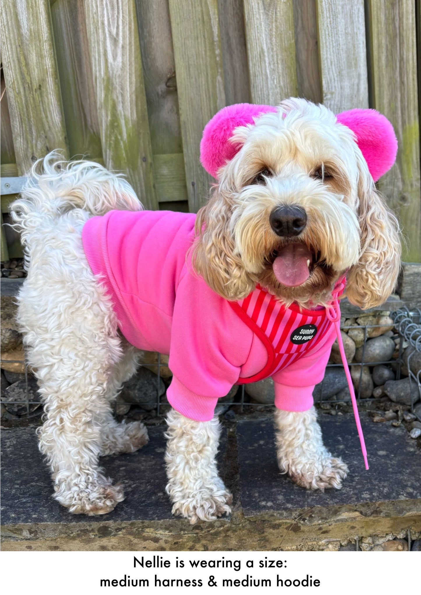 Pink - Teddy Bear Hoodie