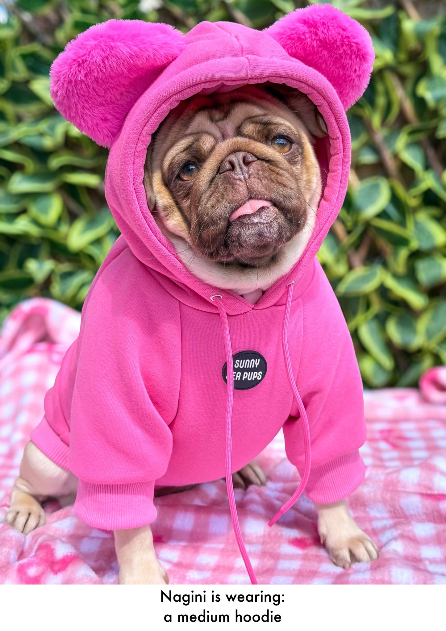 Pink - Teddy Bear Hoodie