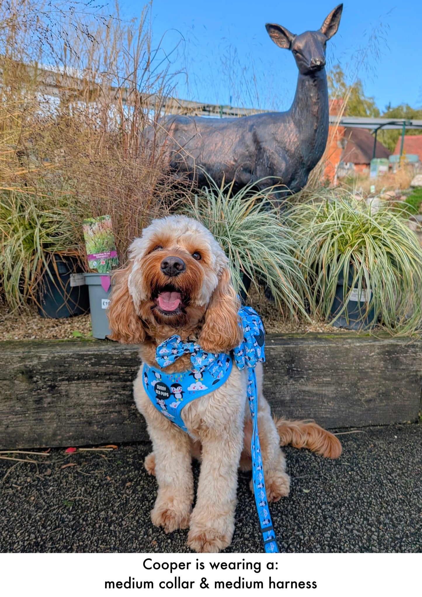 Lil Puddle Penguins - Adjustable Harness