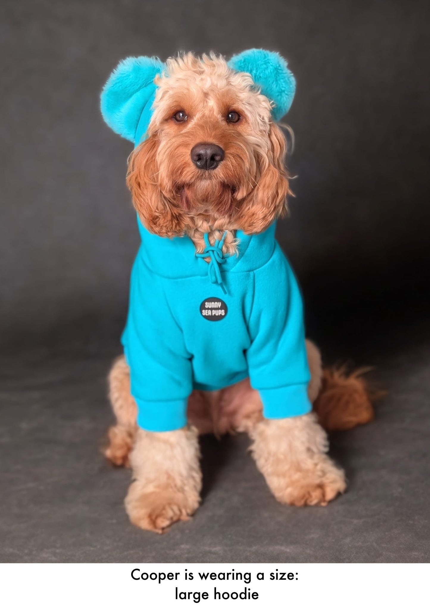 Turquoise - Teddy Bear Hoodie