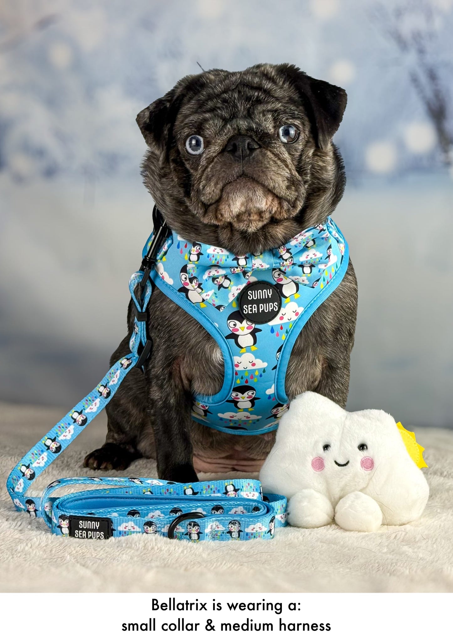 Lil Puddle Penguins - Adjustable Lead