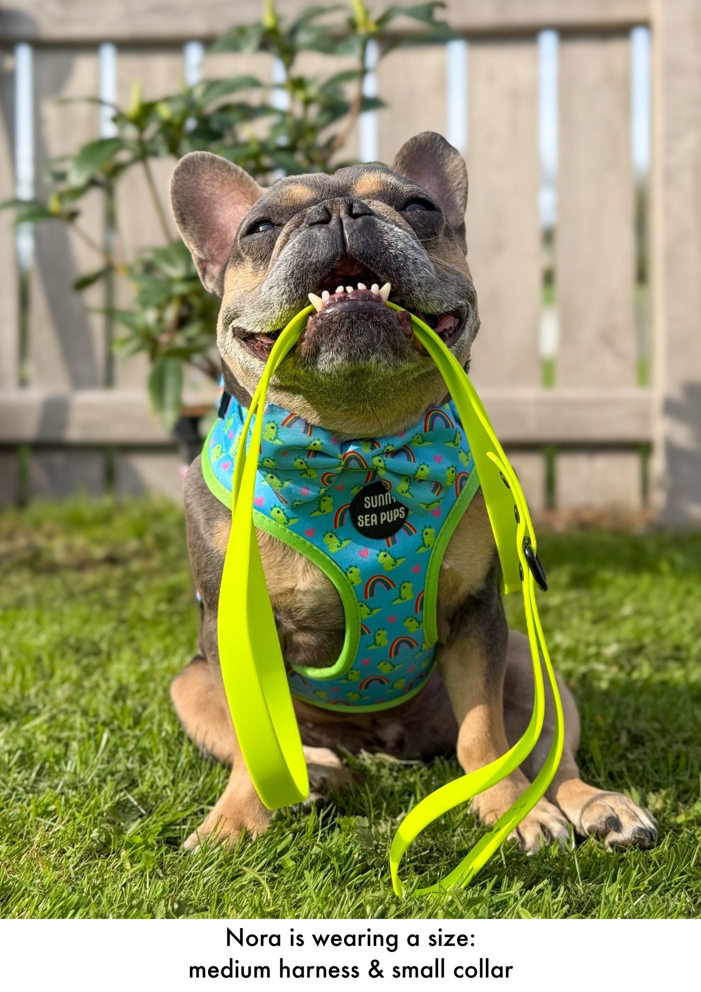 Lime - Waterproof Lead