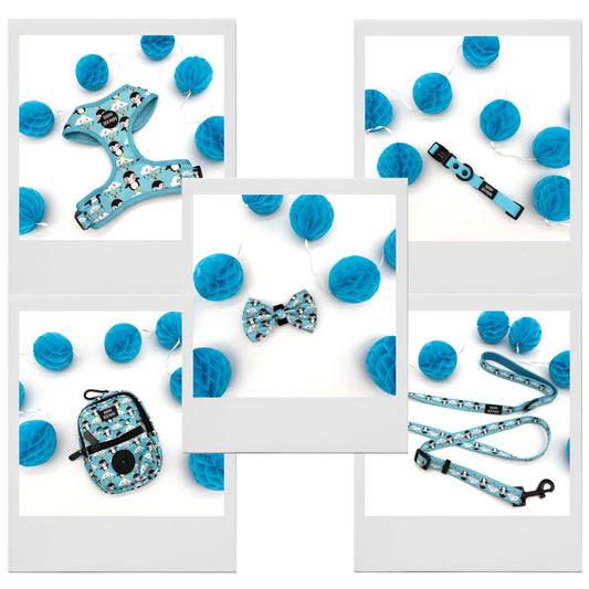 Lil Puddle Penguins - Bundle 9: Harness, Bow Tie, Waterproof Collar & AdjustableLead