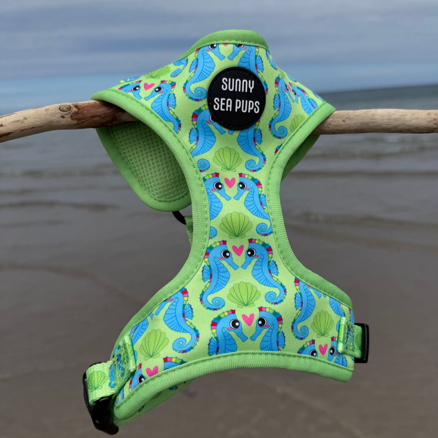 Sea-Pony Club
 - Adjustable Harness