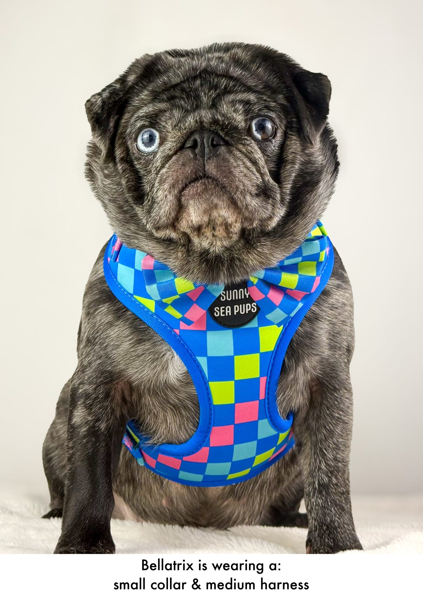 Check the Tides - Adjustable Harness