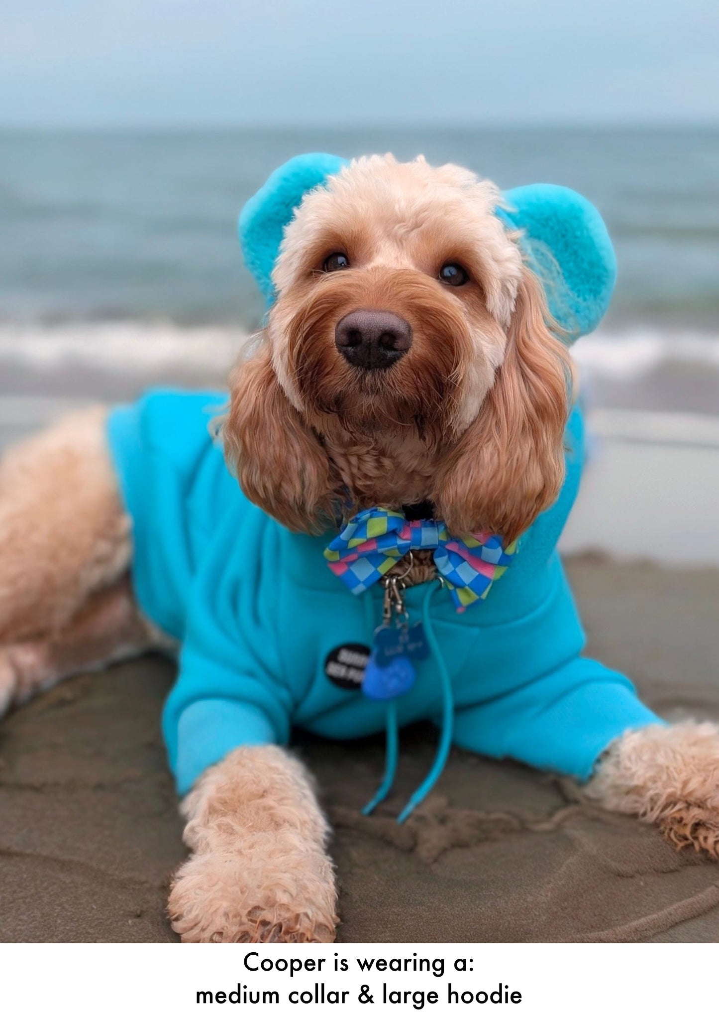 Check the Tides -  Bow Tie