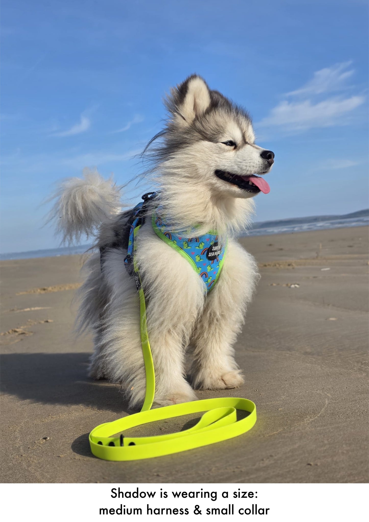 Lime - Waterproof Lead