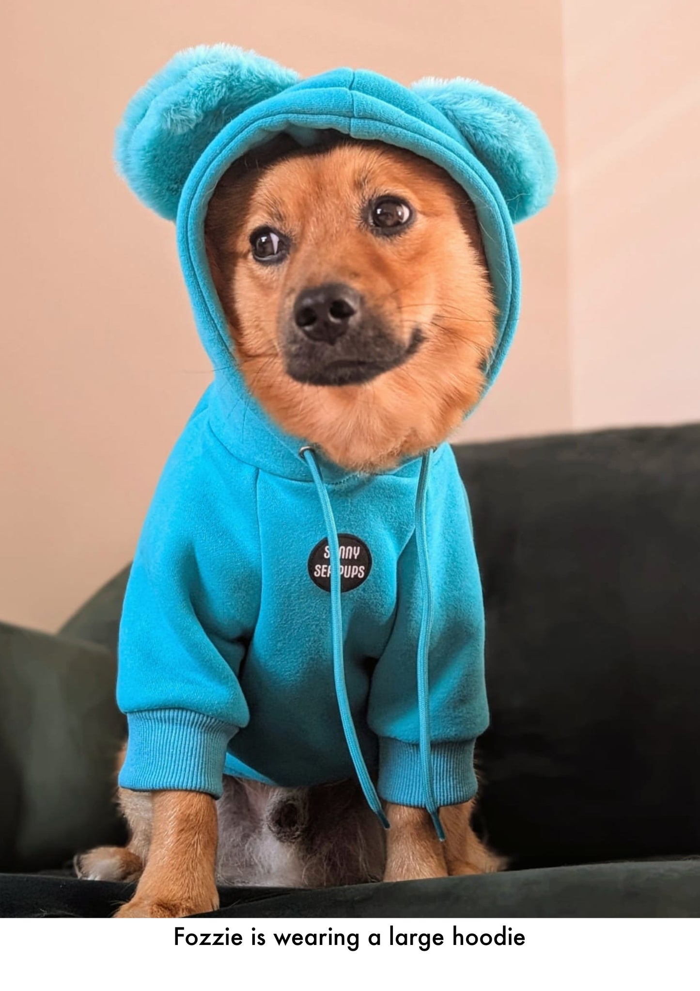 Turquoise - Teddy Bear Hoodie