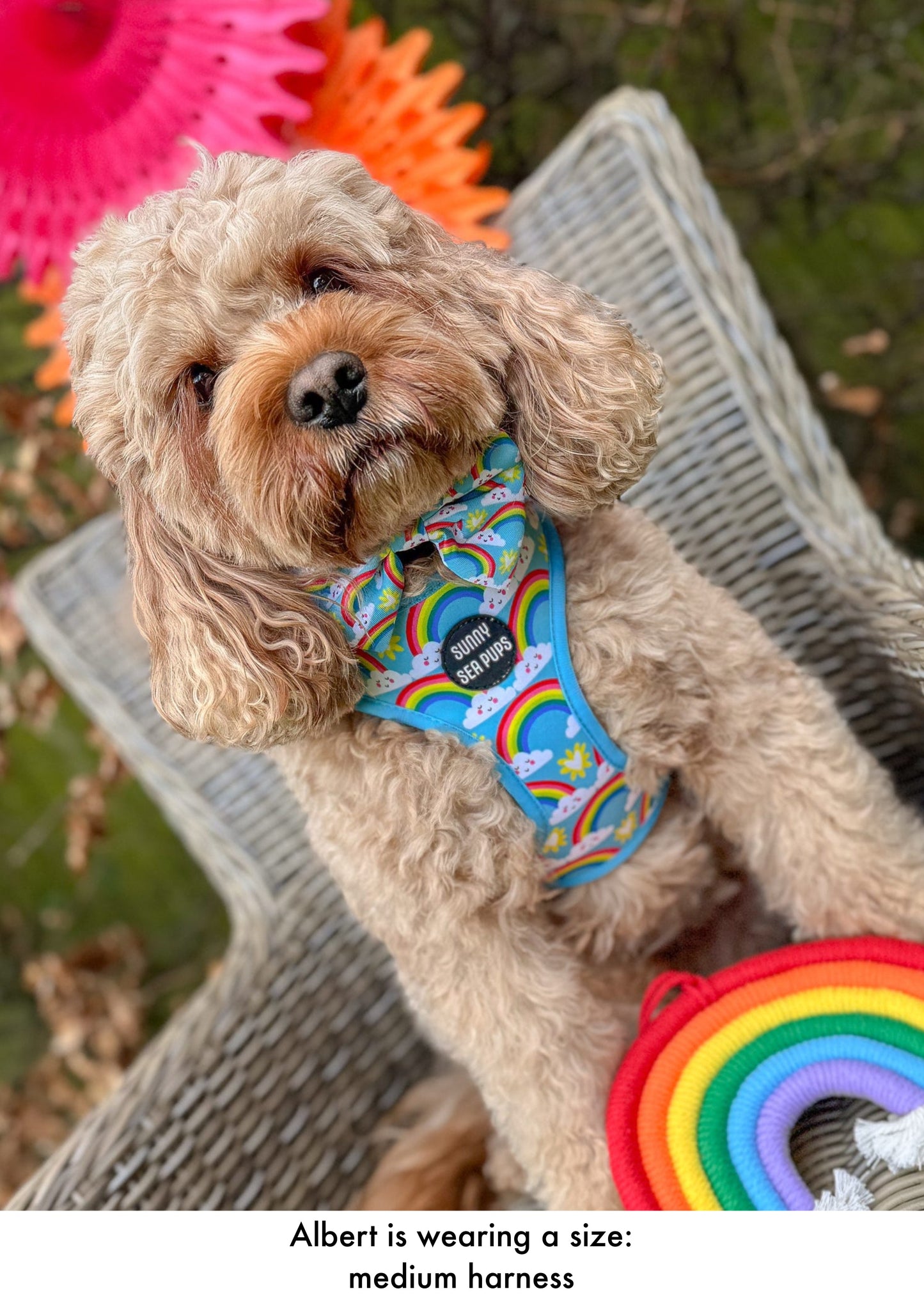 Chasing Rainbows - Adjustable Harness