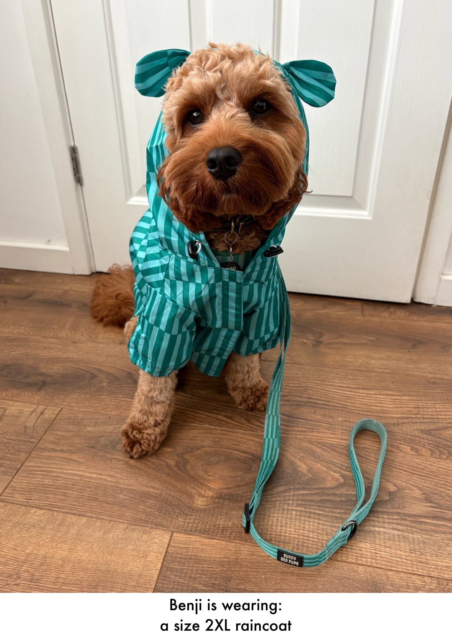 Coastal Calm - Lightweight Teddy Raincoat - PLEASE CHECK MEASUREMENTS