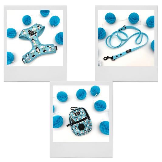 Lil Puddle Penguins - Bundle 5: Harness, Tums & Bums Pouch, Waterproof Lead