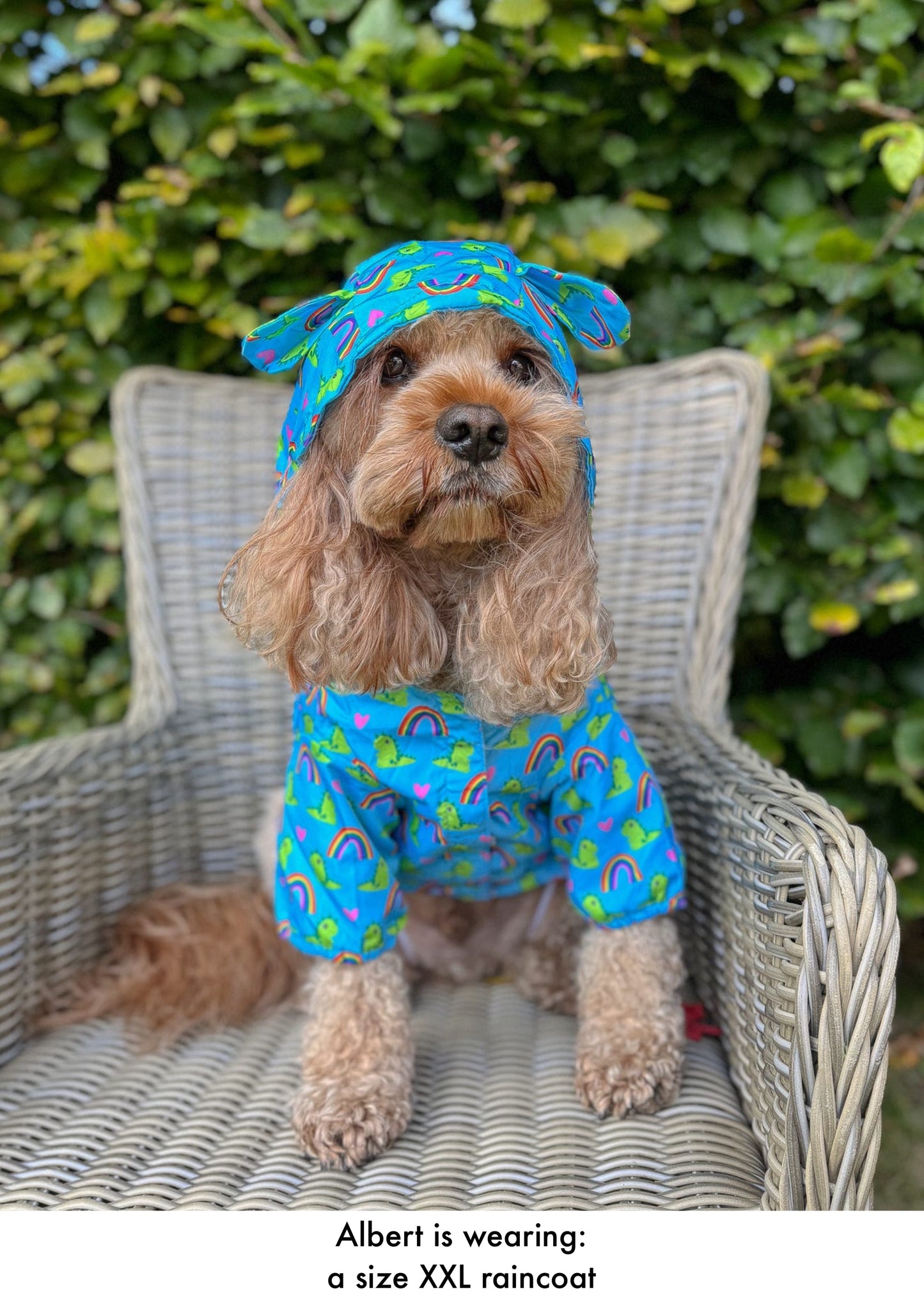 Lil Sea-Saurus - Lightweight Teddy Raincoat - PLEASE CHECK MEASUREMENTS