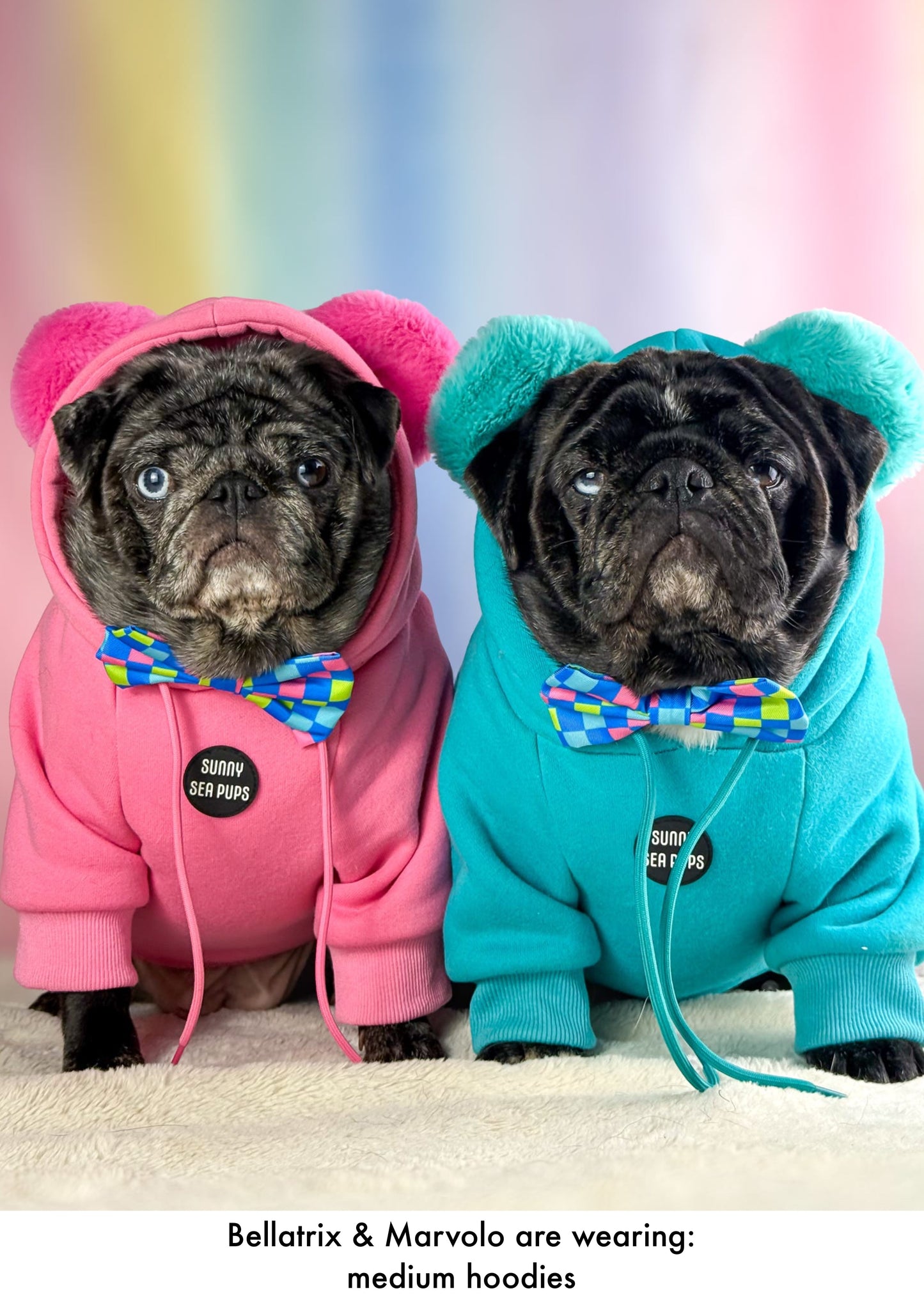 Check the Tides -  Bow Tie