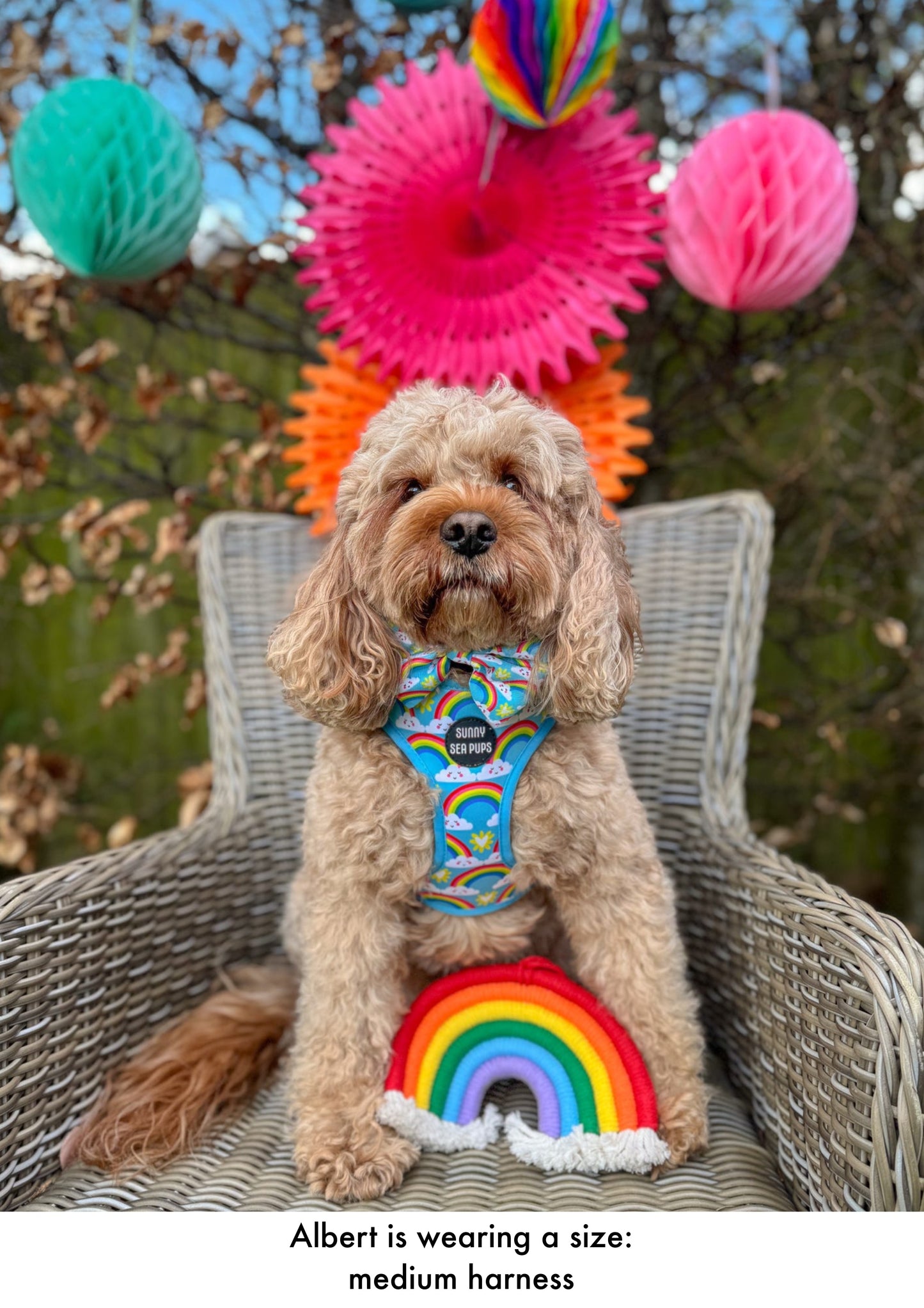 Chasing Rainbows - Adjustable Harness