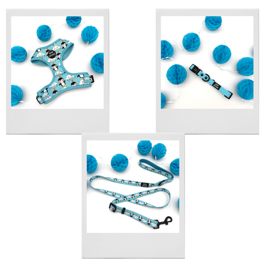 Lil Puddle Penguins - Bundle 10: Harness, Waterproof Collar & AdjustableLead