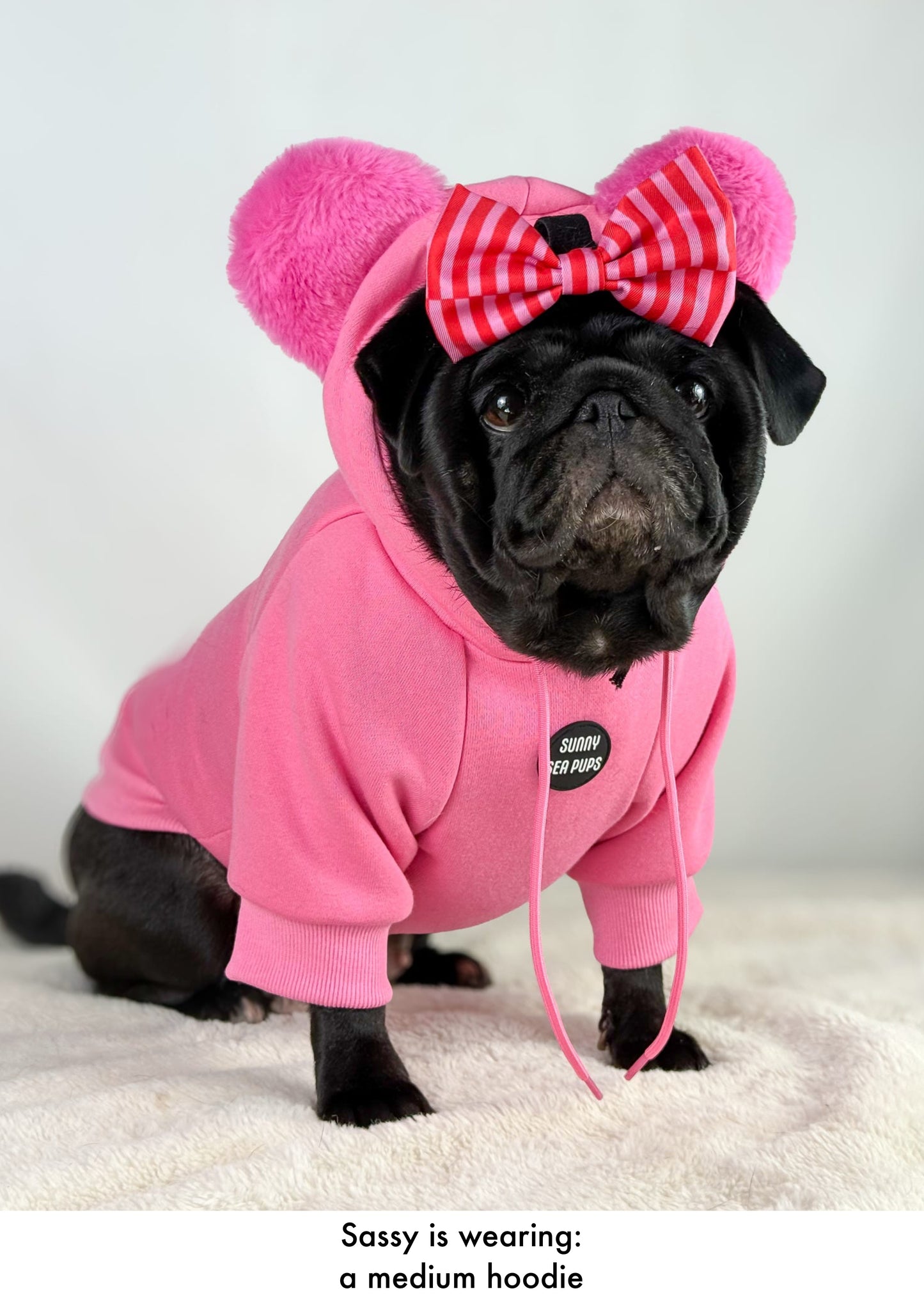 Pink - Teddy Bear Hoodie