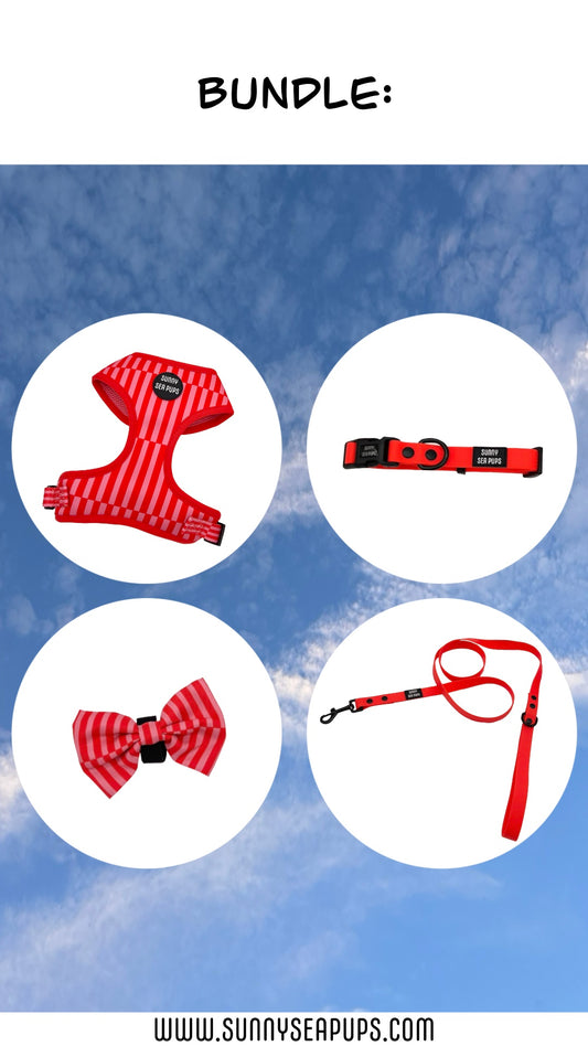 Blush Bay - Bundle 3: Harness, Bow Tie, Waterproof Collar & Lead