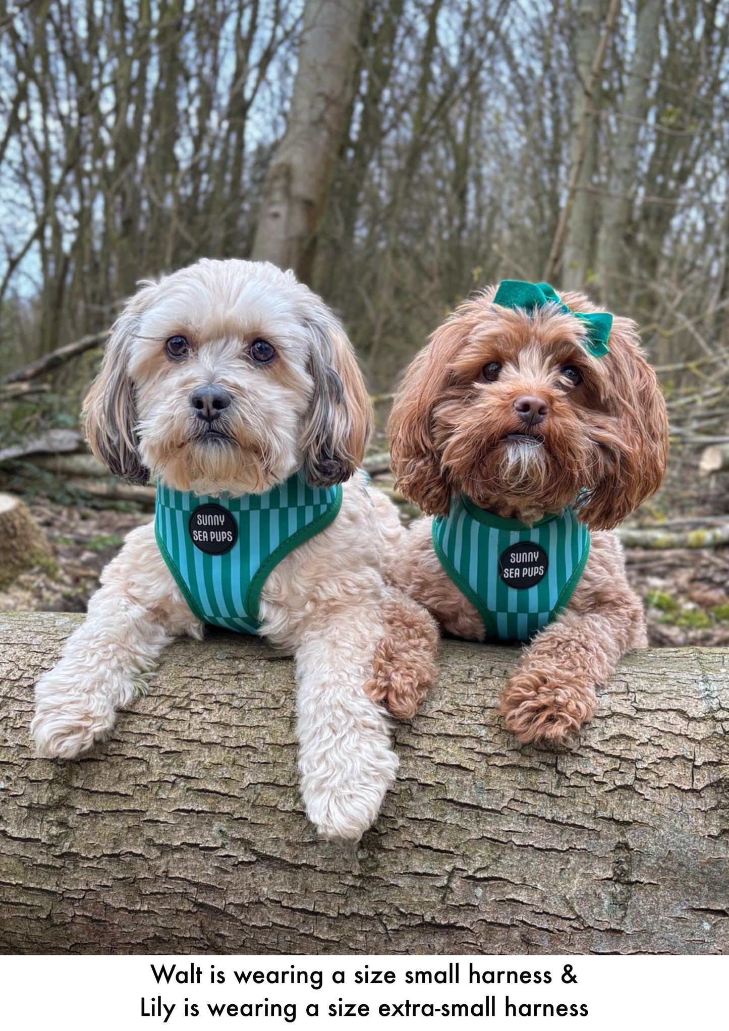 Coastal Calm - Adjustable Harness