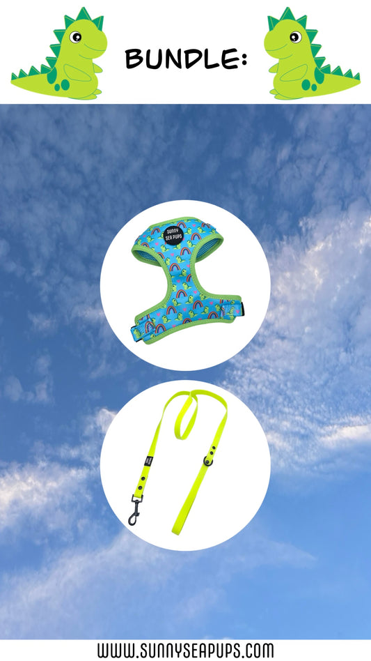 Lil Sea-Saurus - Bundle 6: Harness & Waterproof Lead