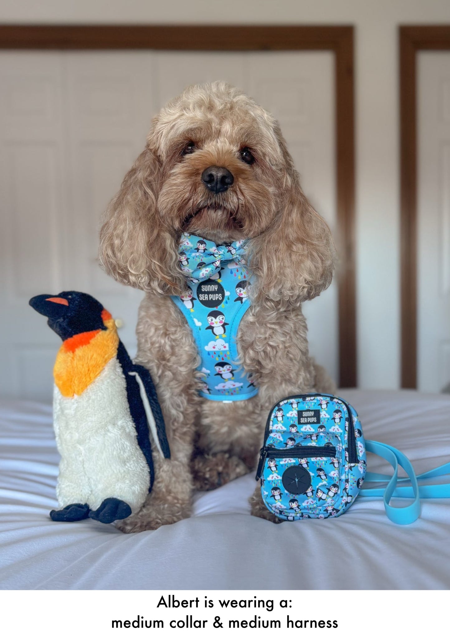 Blue - Waterproof Lead