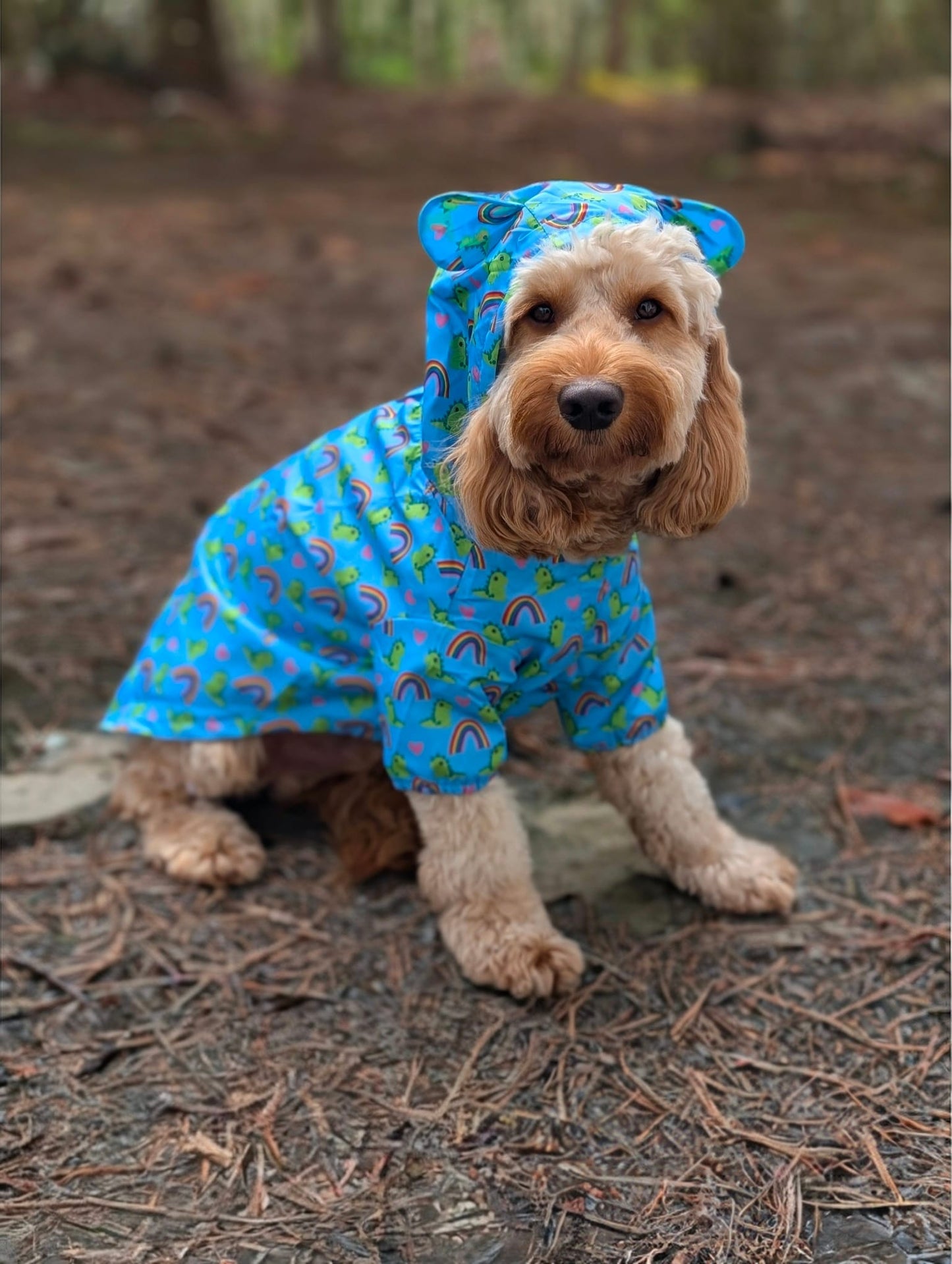 Lil Sea-Saurus - Lightweight Teddy Raincoat