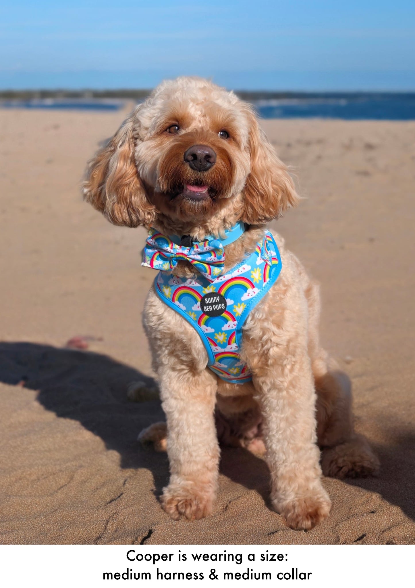 Chasing Rainbows - Adjustable Harness